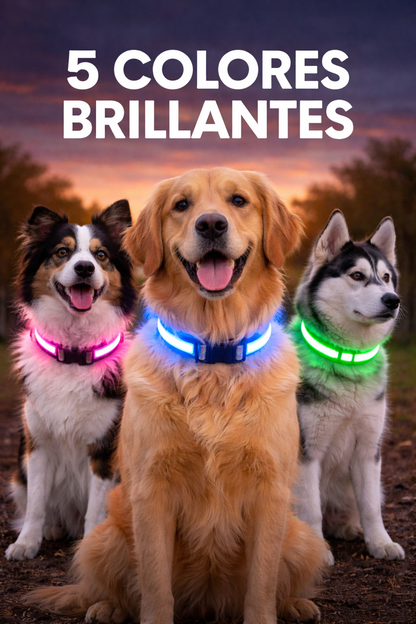 SafeGlow™ – Collar LED Protector Nocturno para Perros
