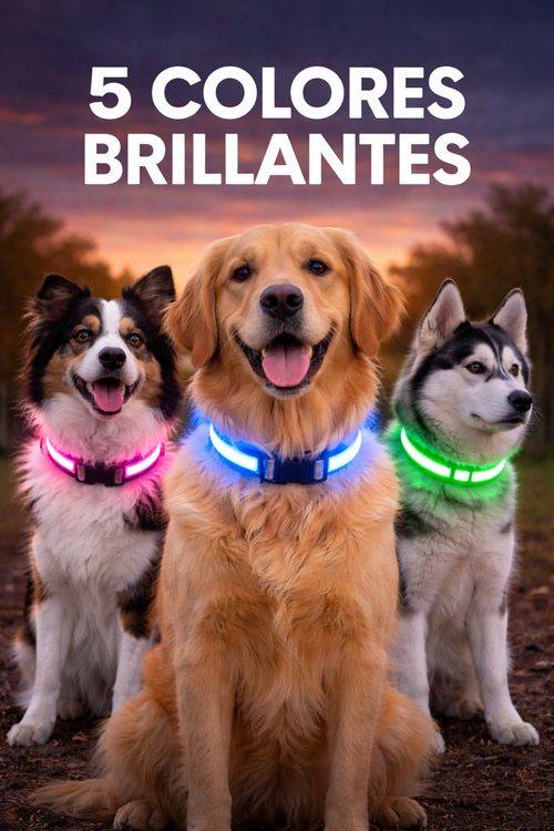 SafeGlow™ – Collar LED Protector Nocturno para Perros
